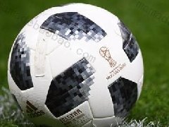 近五届世界杯足球赛指定用球