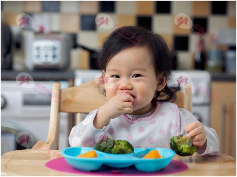 如何培养一个自己吃饭的好宝宝？宝宝自主进食（BLW）全攻略来啦