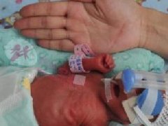 余文乐二胎早产仅1公斤，妻子用心照顾宝宝，丈夫却悠闲看电脑