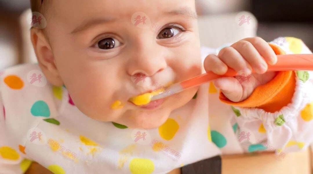 关于宝宝辅食添加的5个常见问题解答