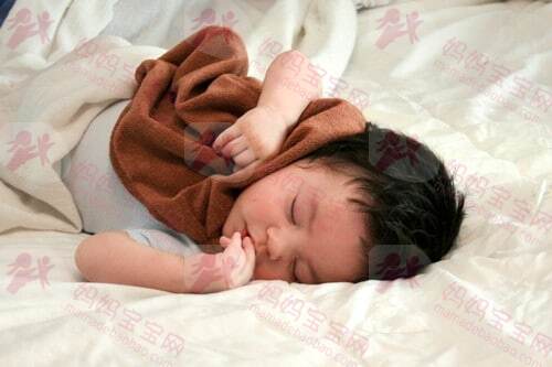 宝宝为什么特别依恋毛绒玩具、毛毯等安抚物？