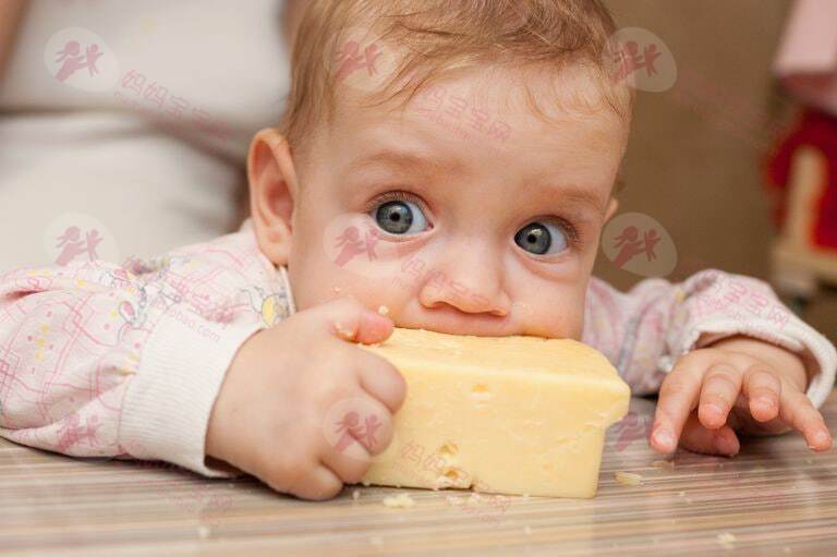 宝宝多大可以吃奶酪、哪种奶酪适合给宝宝吃？
