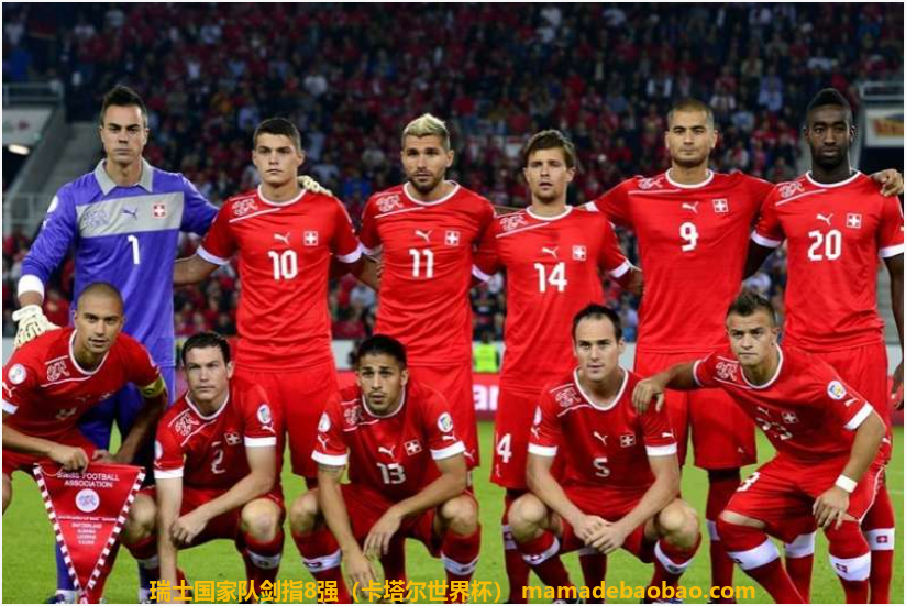 瑞士国家队剑指8强（卡塔尔世界杯）