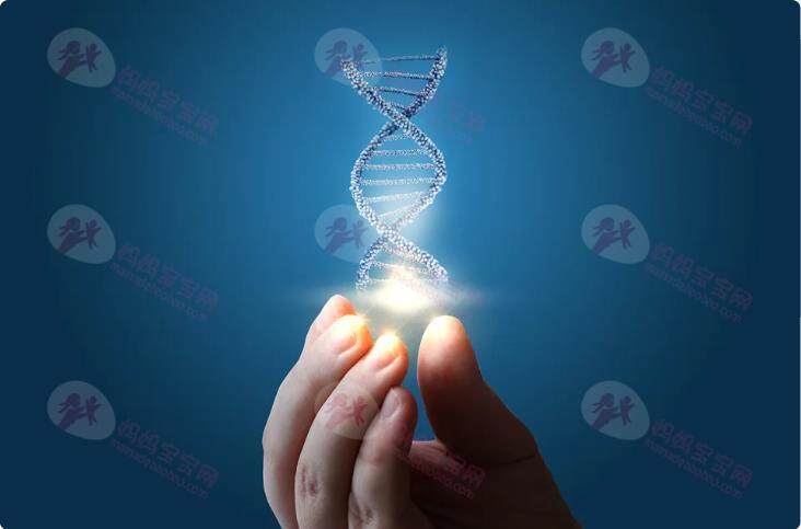 你是否遗传病携带者？一文了解遗传基因如何影响你的下一代