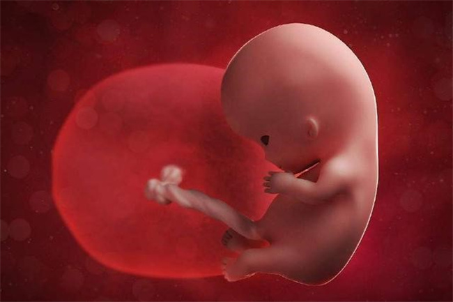 什么因素可以导致胎儿畸形
