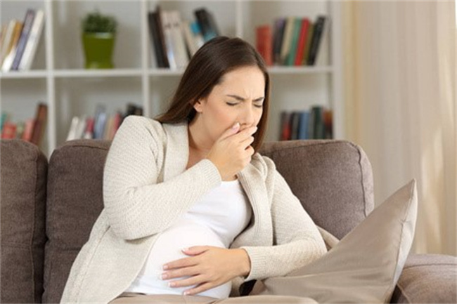 怀孕期间反胃恶心怎样缓解