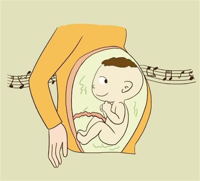 胎儿在妈妈肚子里的趣事有哪些（偷听、吃饭、胎动等）
