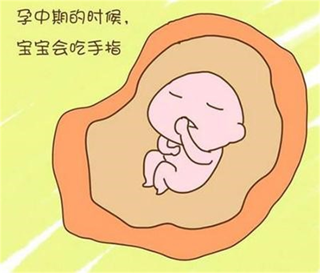 胎儿在妈妈肚子里的趣事有哪些（偷听、吃饭、胎动等）