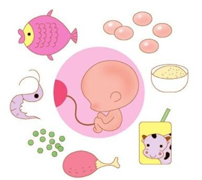 可以促进胎儿脑部发育的微量元素有哪些（钙、锌、铜、铁等）