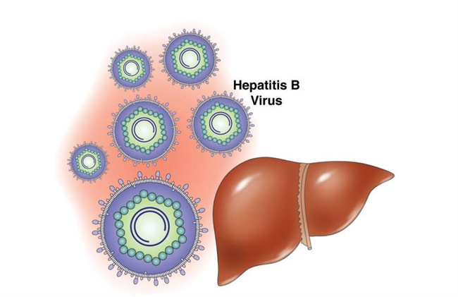 致使小儿肝炎的主要原因有哪些（病因有很多）