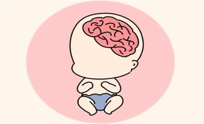 影响宝宝智力发育的五个方面