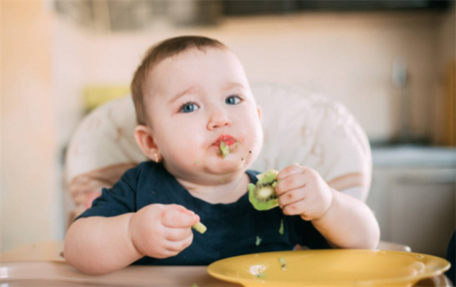 宝宝可以吃猕猴桃的籽吗