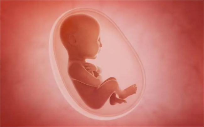 怀孕三个月停胎有哪些症状