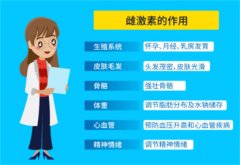 雌激素的作用是什么