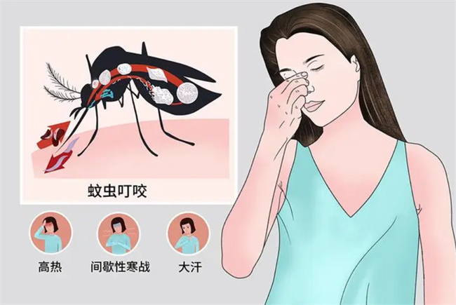 疟疾有哪些症状