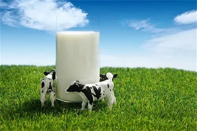 探究牛初乳的作用和功效＂