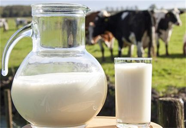 牛初乳正确的食用方法和注意事项