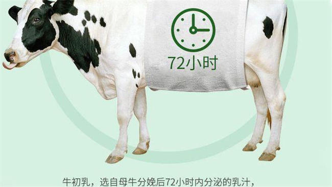 牛初乳是什么？牛初乳的定义和作用