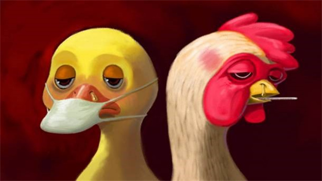普通感冒和禽流感的区别