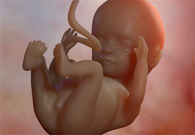 揭示胎儿性别的5周最准指标