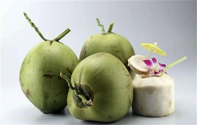 揭秘椰子汁的丰富营养和多重功效