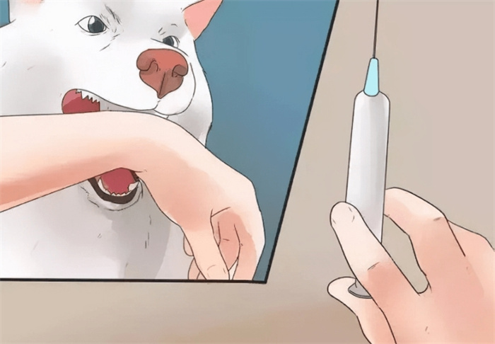 宝宝接种狂犬疫苗后的有效期是多久？遇到宠物咬伤后如何处理？