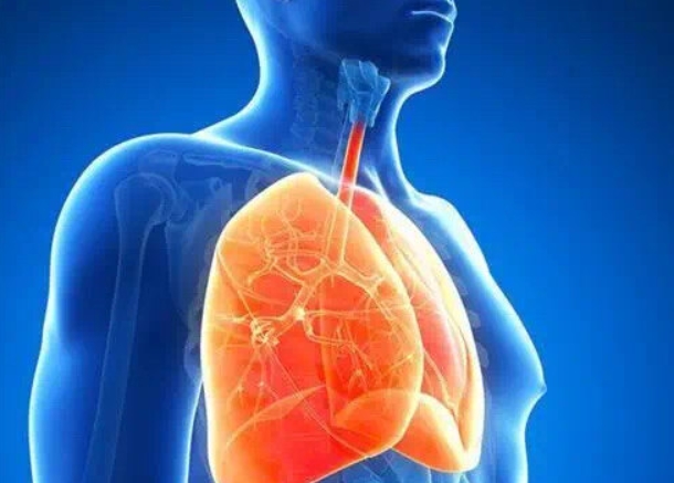 肺部感染的症状及治疗：了解与应对