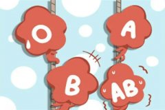 解密血型遗传：探寻两个O型血生出B型血的孩子