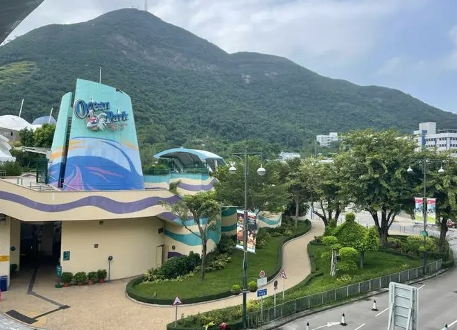 畅游香港海洋公园：海洋奇观与美食乐趣