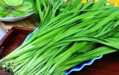 探索韭菜的多重功效：促食欲、滋补肾阳、健胃养肝与更多营养价值