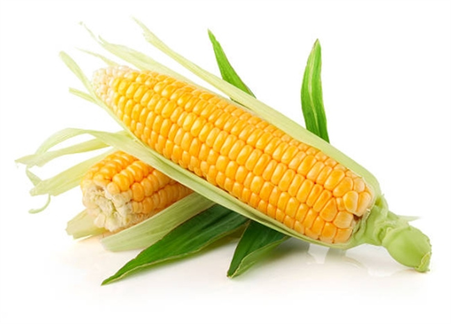 玉米减肥法解析：低热量高纤维，成为时尚健康减肥的首选