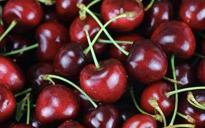 探寻樱桃与车厘子的差异：外观、口感和营养对比