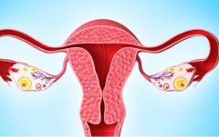 子宫内膜增厚的原因及影响：雌激素与健康的关系解析