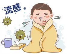 流感的主要症状是什么？