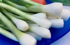 大葱的功效与作用：壮阳补阴、解毒调味、预防癌症