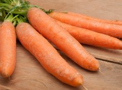 胡萝卜与白萝卜：吃前需斟酌，营养互补却需分开
