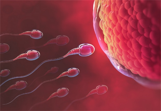 解读女性排卵期出血，专家为你详解药物和调理！