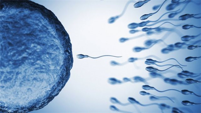 揭秘男性生育力：正常精子成活率有多重要？