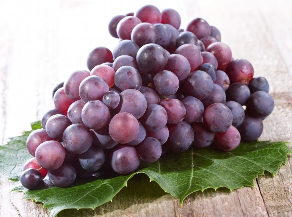 解密葡萄的营养奥秘：甘甜之美与健康共荣