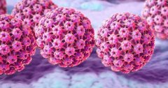 揭秘人乳头瘤病毒的形成与传播：理解感染机制与预防措施