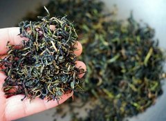 挖掘蒲公英的潜力：专家揭示蒲公英茶的营养与限制