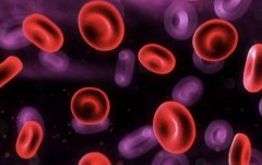 探究红细胞偏高的成因及影响