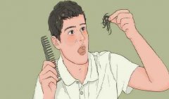 秃顶恐惧？脱发吃什么好，专家告诉你保护秀发的秘密！