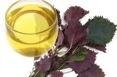紫苏籽油的多重功效：降脂降压、预防脂肪肝、促进脑部健康