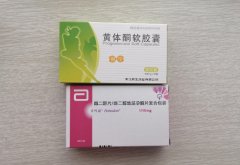 解析黄体酮与黄酮体：区别与作用