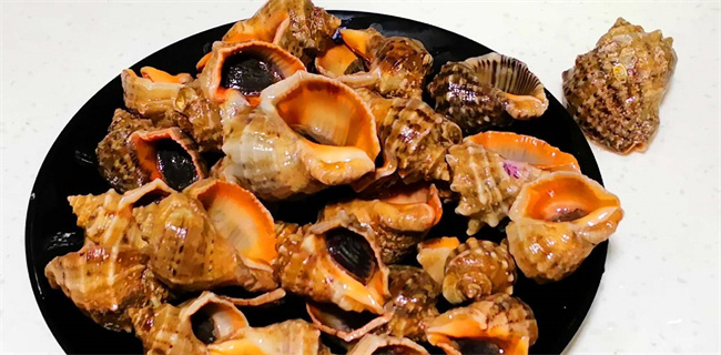 如何烹饪大海螺：掌握煮螺的时间与技巧