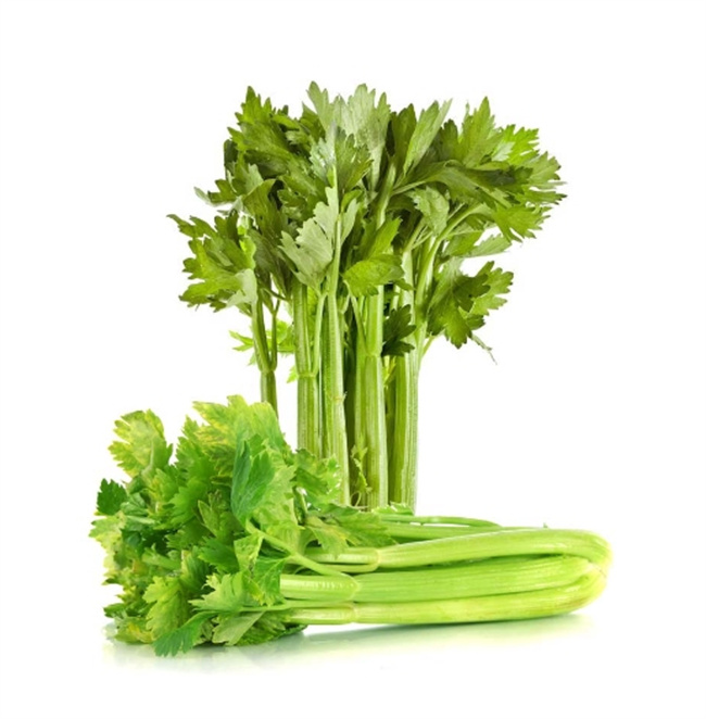 芹菜：健康的绿色恩物