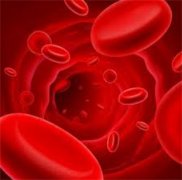 红细胞分布宽度：解读这一关键健康指标，提前预防疾病