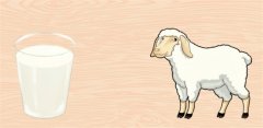 羊初乳：大自然赋予的珍贵礼物