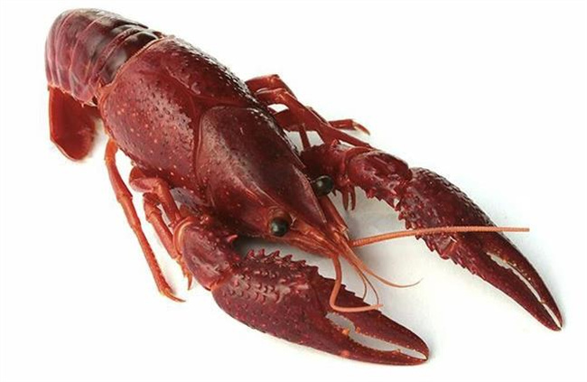 小龙虾的美味与健康：科学的选择与烹饪技巧